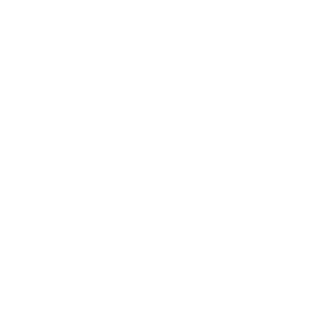 Capítulo 10